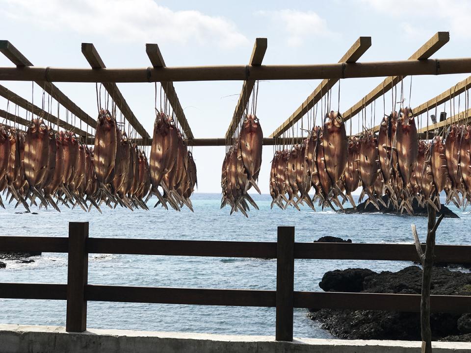 蘭嶼：海邊架上曬的魚乾