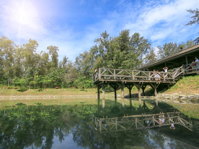 琵琶湖:湖畔的木棧橋
