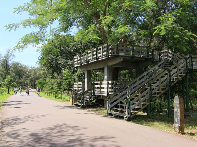 台東森林公園:木造觀景塔