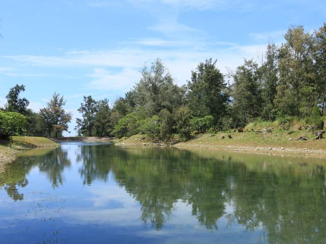 台東森林公園：湖面與倒影
