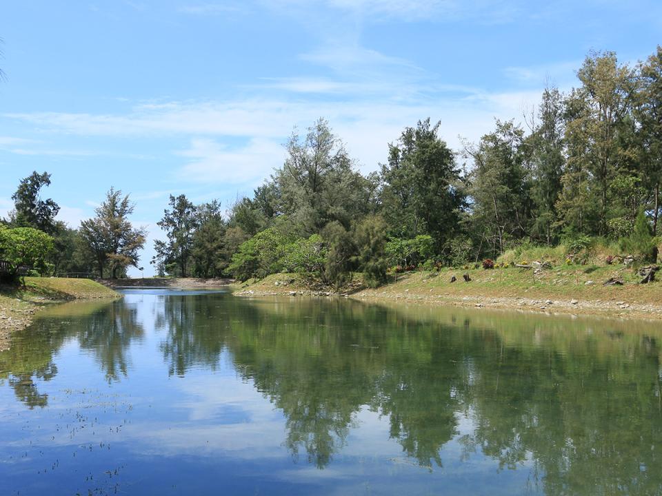 台東森林公園:湖面與倒影